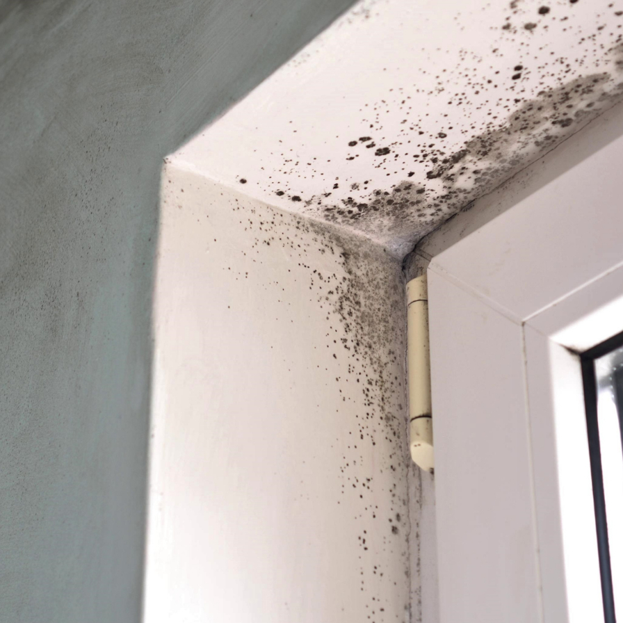 leonardo_diffusion_xl_a_kitchen_nightmare_broken_appliances_br_1_59d0e471-30ac-4ba1-be3a-7b1c21750dd8